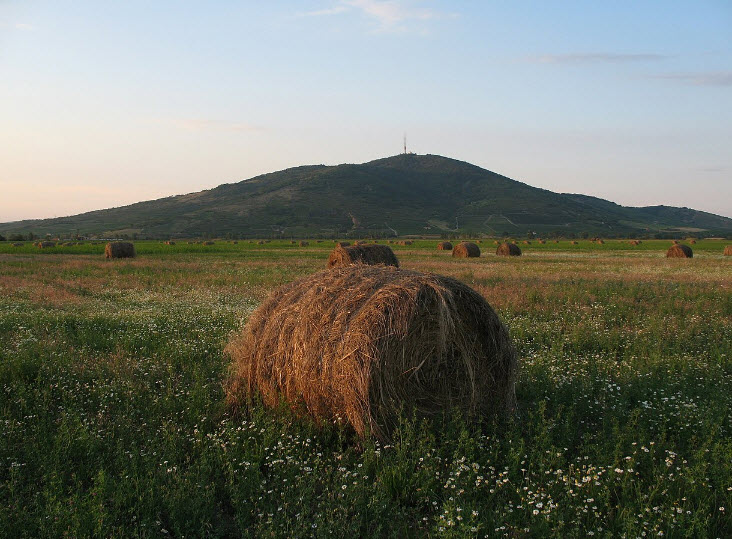 Kopasz Hill, Tokaj, Hungary